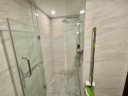 Normanton Park (D5), Apartment #453723651